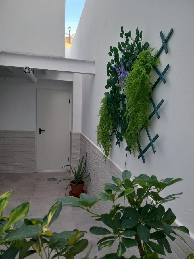 Apartamentos De La Haya & Suite Con Jacuzzi, Junto Al Teatro Romano Мерида Екстериор снимка